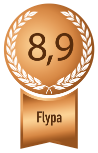 dusseldorf bronze flypa